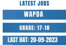 LATEST JOBS in WAPDA Grade 17 To 18