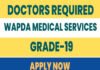 WAPDA Jobs 2023 – WAPDA Medical Services Opportunities