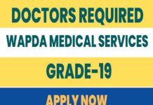 WAPDA Jobs 2023 – WAPDA Medical Services Opportunities
