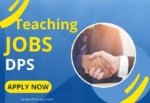 Teaching Jobs at DPS Toba Tek Singh 2023