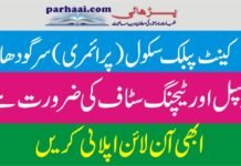 Cantt Public School Sargodha Teaching Jobs 2024