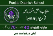 Danish School Mianwali Quan and English Teachers Jobs July 2024
