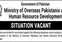 Ministry of Overseas Pakistanis and HR Development Jobs 2024