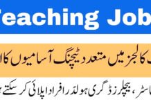 Teaching Jobs at Chenab Jhang 2024