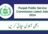 PPSC Latest Jobs Ad No. 17 / 2024