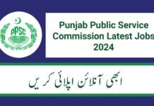 PPSC Latest Jobs Ad No. 17 / 2024