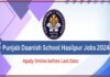 Jobs at Punjab Danish Schools at Hasilpur, Mianwali and Vehari July 2024
