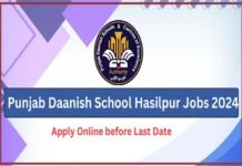 Jobs at Punjab Danish Schools at Hasilpur, Mianwali and Vehari July 2024