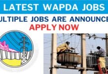 Pakistan WAPDA Jobs July 2024