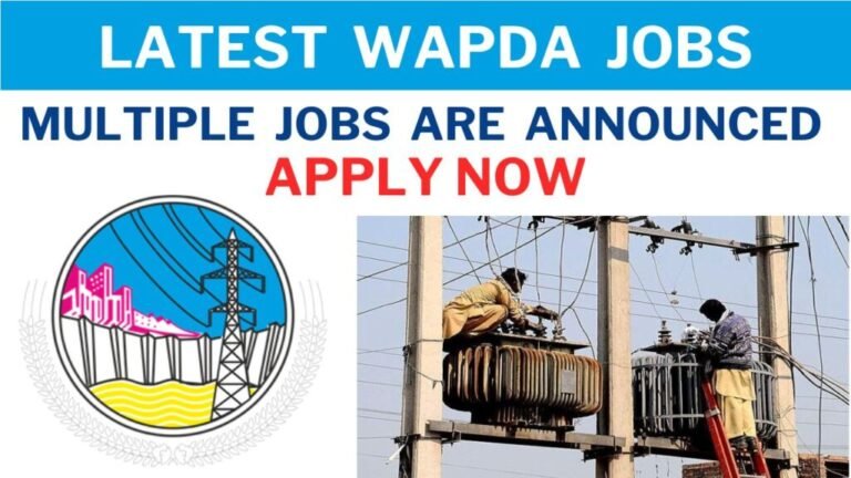 Pakistan WAPDA Jobs July 2024