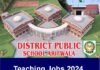 DPS Arifwala Teaching Jobs 2024