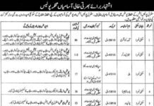Punjab Police Jobs Scale-1 January 2025