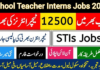 STI (School Teacher Internees) Jobs In Punjab Schools January 2025