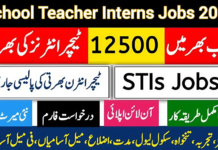 STI (School Teacher Internees) Jobs In Punjab Schools January 2025