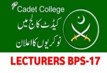 Cadet College Petaro Sindh Lecturer Jobs BPS-17