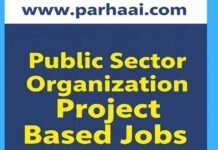 Project Base Jobs in Public Sector Organization