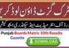 Download Gazette Matric (10th) All BISE PUNJAB