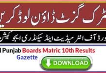 Download Gazette Matric (10th) All BISE PUNJAB
