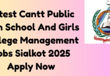Cantt Public School & Girls College Sialkot Jobs 2025