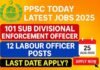 101 PPSC Sub Division Enforcement Officer Jobs 2025
