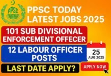 101 PPSC Sub Division Enforcement Officer Jobs 2025