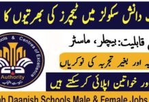 Danish School Mianwali Teaching Jobs 2025