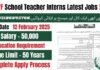 Punjab Workers Welfare Fund Schools STI (School Teacher Internees) Jobs 2025
