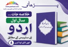 Aik Ustad Adalat K Katehray Main Khulasa Urdu 1st Year