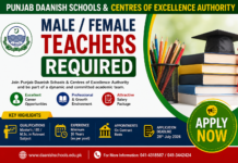 Punjab Daanish Schools Teachers Jobs 2026 Announced