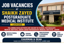 Shaikh Zayed Postgraduate Medical Institute Lahore Jobs 2026