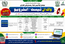 Jobs in NADRA Pakistan July 2026