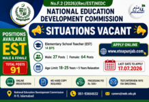Teaching Vacancies at National Education Development Commission