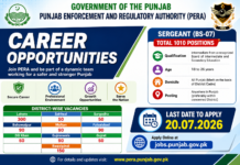 Jobs as Sergeant in PERA FORCE Punjab