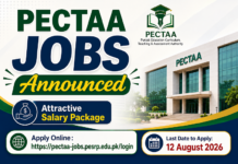 Jobs in PECTAA Punjab 2026
