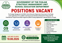 School Education Department (SM Unit) Punjab Jobs 2026