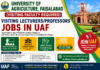 Visiting Faculty Jobs in University of Agriculture Faisalabad