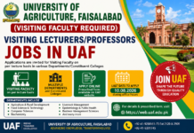 Visiting Faculty Jobs in University of Agriculture Faisalabad