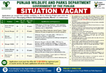 Punjab Wild Life Department Jobs July 2026