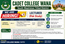 Pakistan Study Lecturer Job in Cadet College WANA