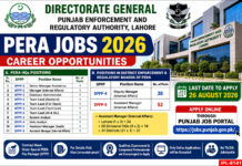 PERA Jobs 2026 – Punjab Enforcement Authority Jobs Apply Online