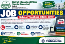 Special Education STI Jobs 2026 in Gujrat & Mandi Bahauddin – Apply Online