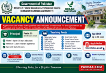 Daanish Schools Jobs 2026 – Principal & Teaching Vacancies | Apply Online